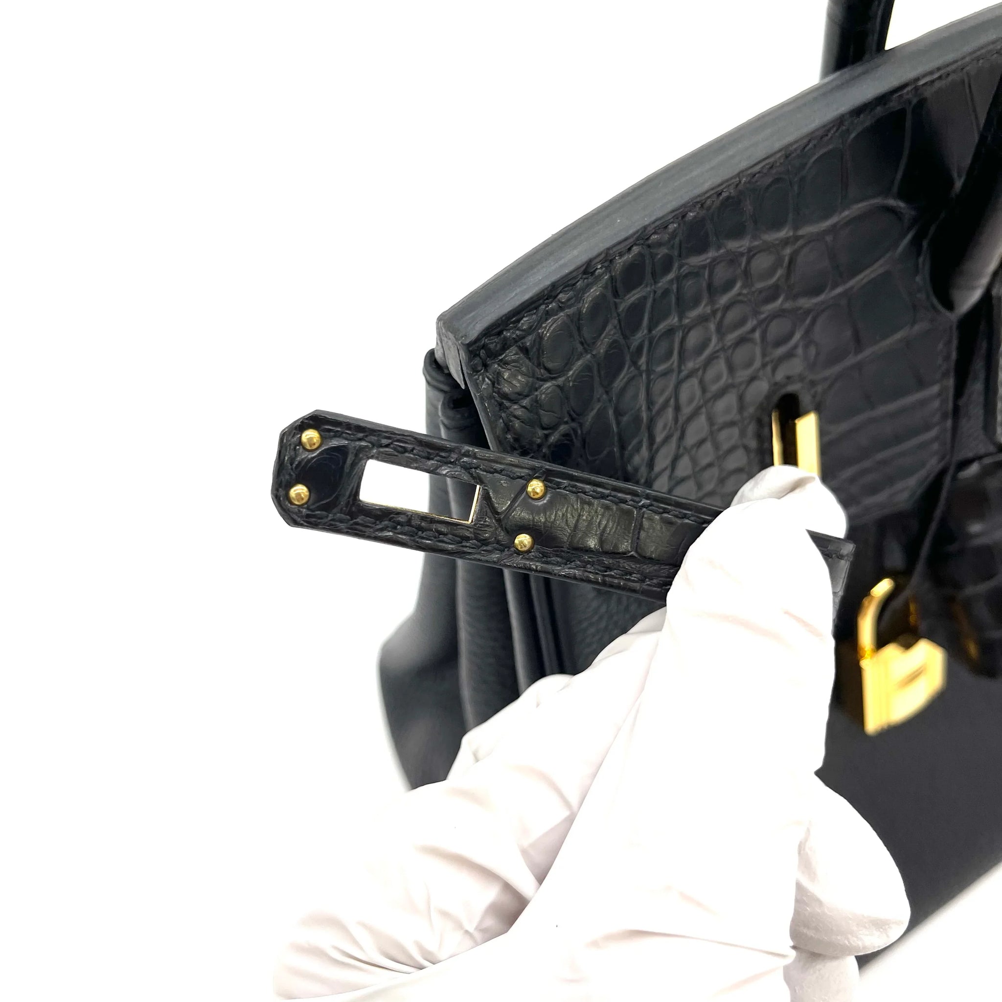 Matte Alligator Birkin Touch 25