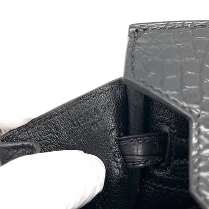 Matte Alligator Birkin Touch 25
