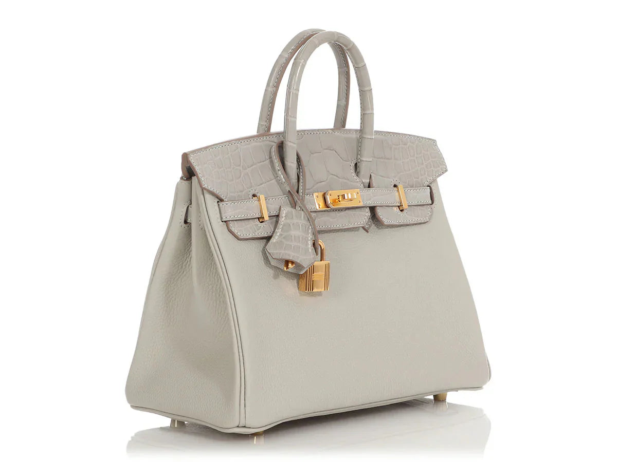 Matte Alligator Birkin Touch 25