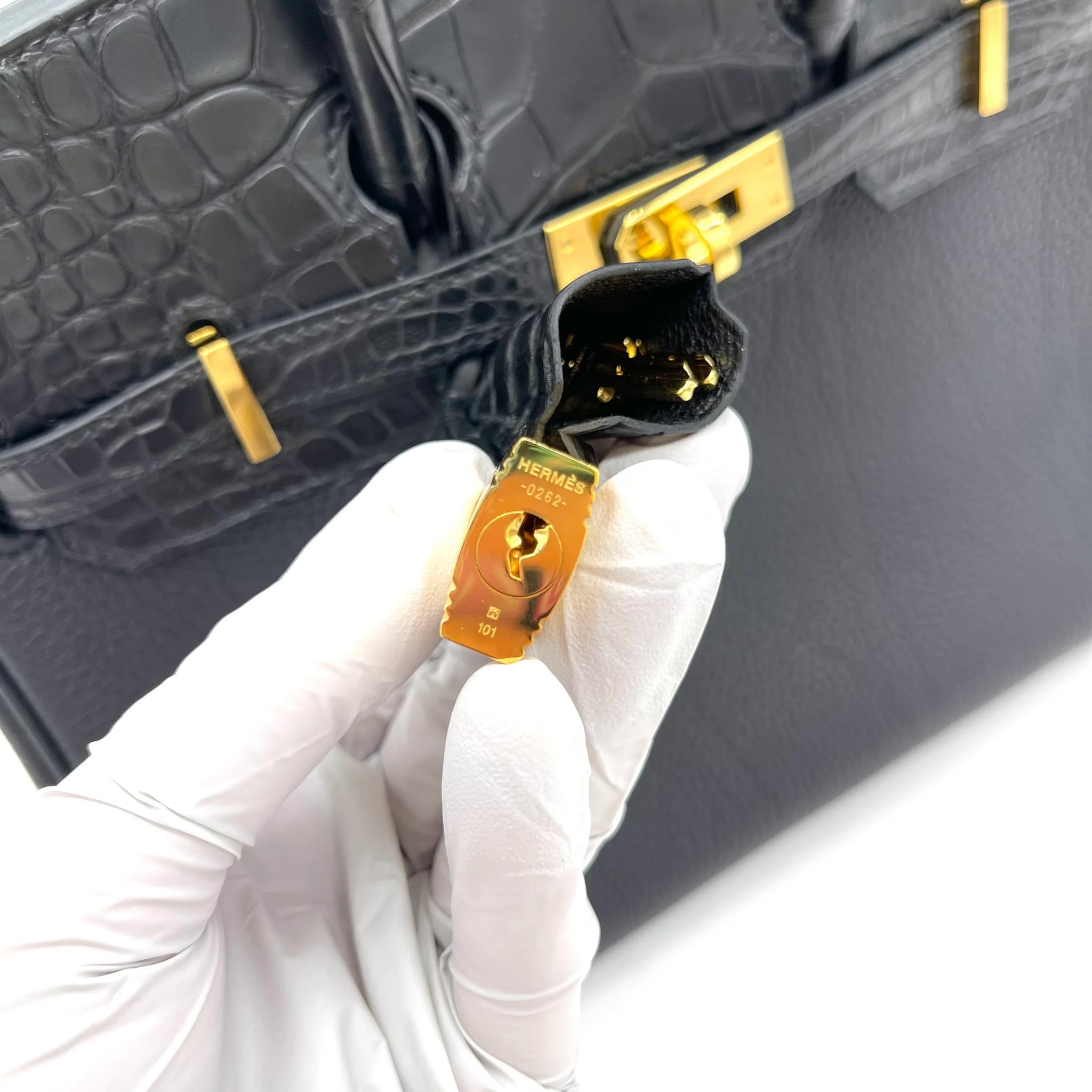 Matte Alligator Birkin Touch 25