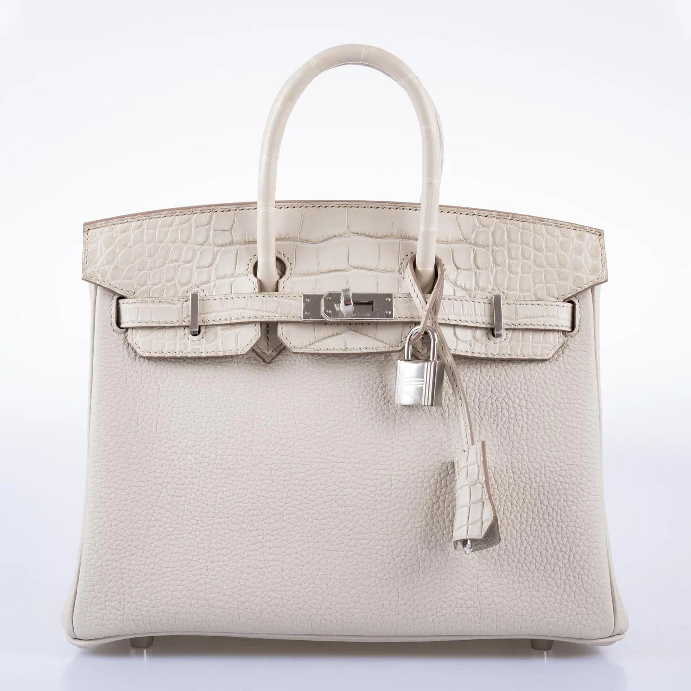 Matte Alligator Birkin Touch 25
