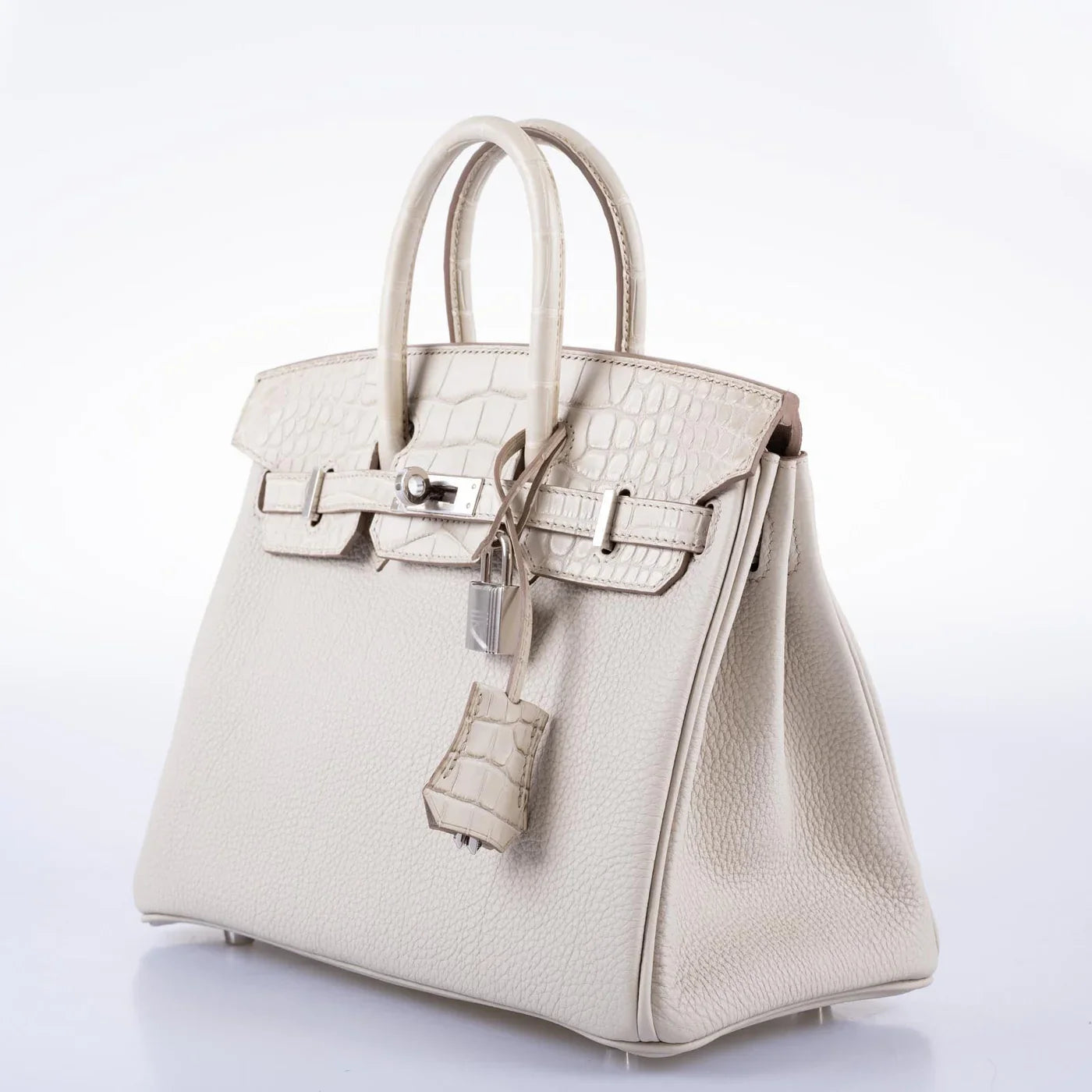Matte Alligator Birkin Touch 25