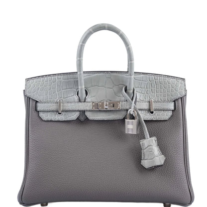 Matte Alligator Birkin Touch 25
