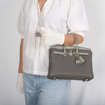 Matte Alligator Birkin Touch 25