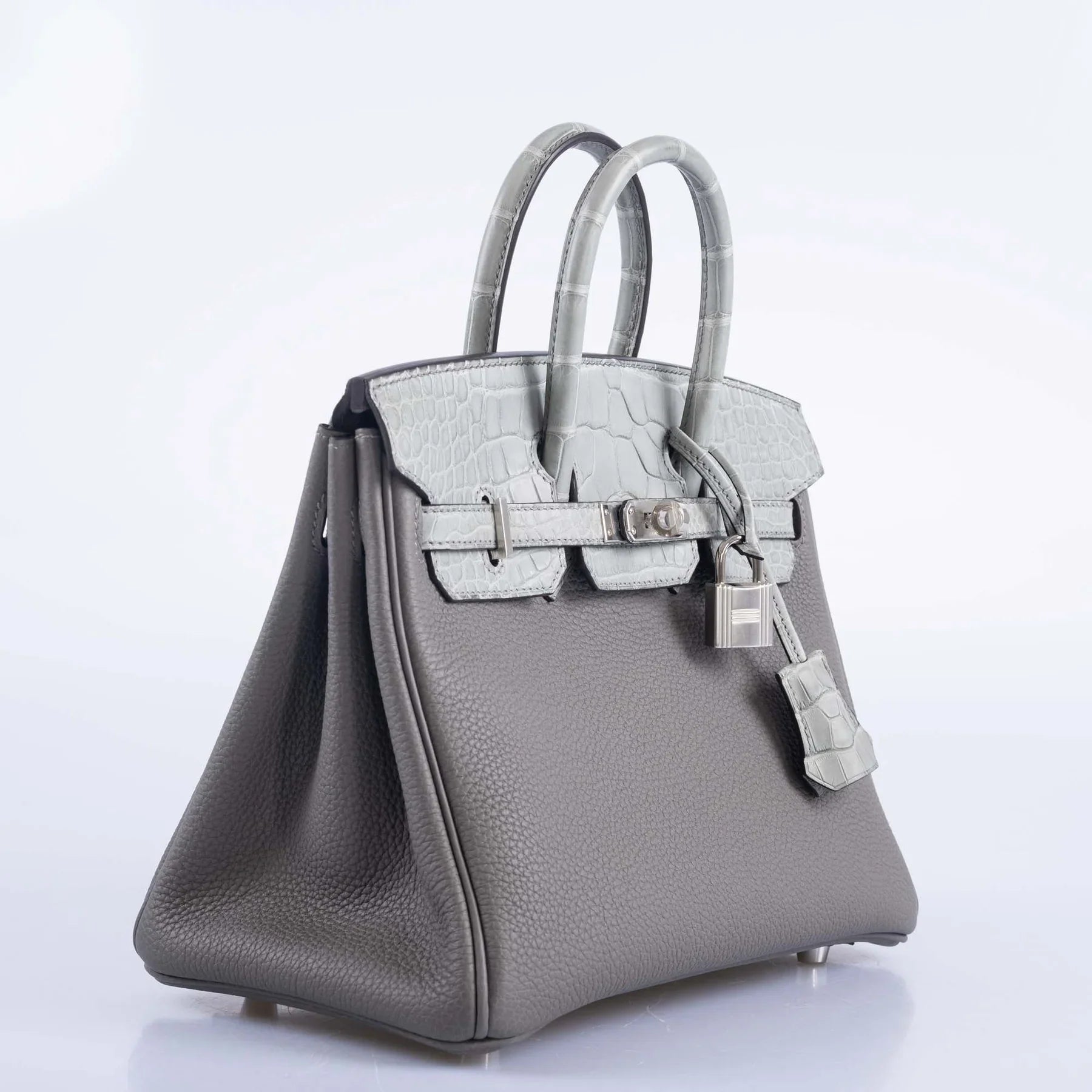 Matte Alligator Birkin Touch 25