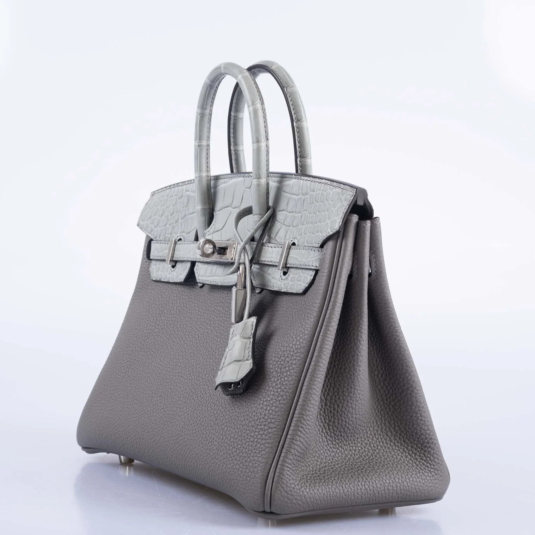 Matte Alligator Birkin Touch 25