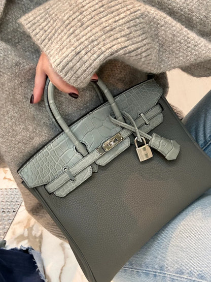 Matte Alligator Birkin Touch 25