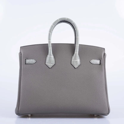 Matte Alligator Birkin Touch 25