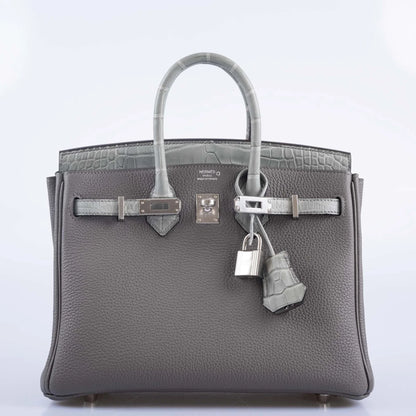 Matte Alligator Birkin Touch 25